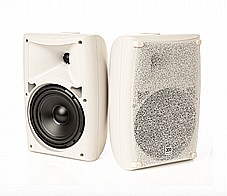 MOREL BREEZ 6.5